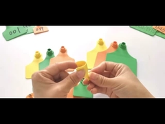 OEM ODM Ternak ID Tag Tag Telinga Kustom TPU Untuk Sapi 11 * 7.5cm